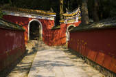 tkf005_2311586