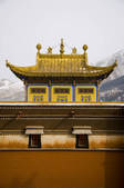 tkf005_2312958