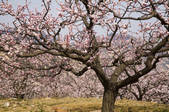 tkf005_2313550