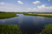 tkf005_2315679