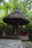 tkf005_2318302