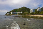 tkf005_2320296