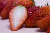 tkf005_2324372