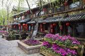 tkf005_2337378