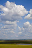 tkf005_2340707