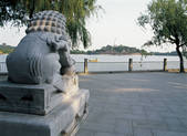 tkf005_2347787