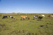 tkf005_2349305