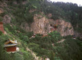 tkf005_2350315