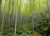 tkf005_2350674