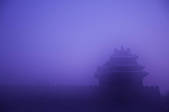 tkf005_2356782