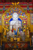 tkf005_2360128