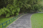 tkf005_2374340
