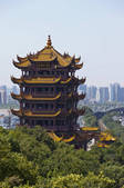 tkf005_2380230