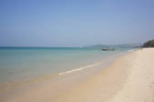 tkf005_2388294