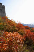 tkf005_234784