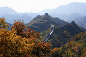 tkf005_234785