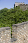 tkf005_244698