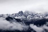 tkf005_246082