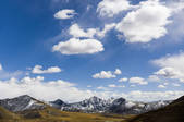 tkf005_295449
