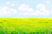 tkf005_296742
