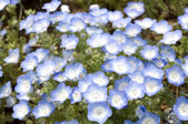 tkf005_301248