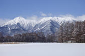tkf005_301824