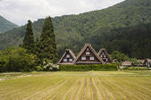 tkf005_302106