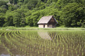 tkf005_302109