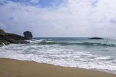 tkf005_302311