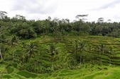 tkf005_302703