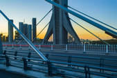 tkf005_305344